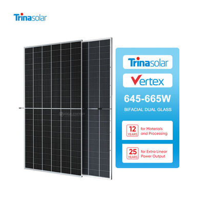 700W Tsm-Neg21C.20 Bificial Dual Glass Pv Module pannelli solari per sistema di energia solare